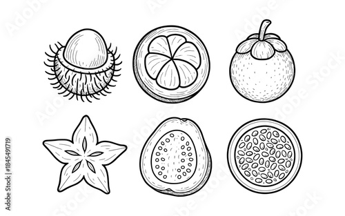 Hand-drawn collection of exotic fruits in black and white line art style