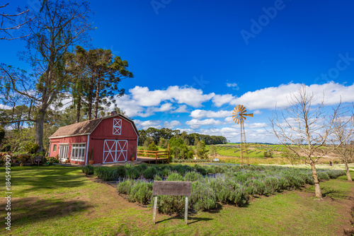 Red Barn in rural countryside with lavender field, windmill and blue sky
