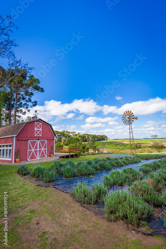 Red Barn in rural countryside with lavender field, windmill and blue sky