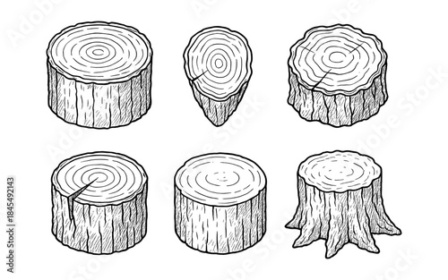 Collection of hand-drawn wood stump illustrations with visible growth rings and bark texture