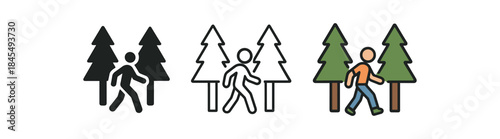forest therapy person walking between two tall trees