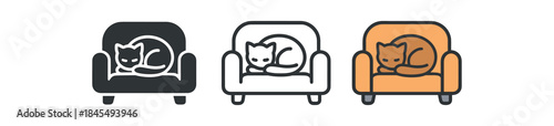 daily routine cat curled up on sofa