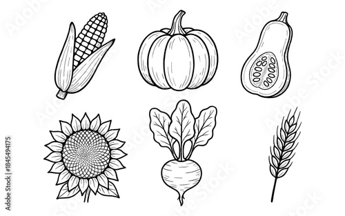 Collection of hand-drawn autumn harvest vegetables and grains in a simple line art style