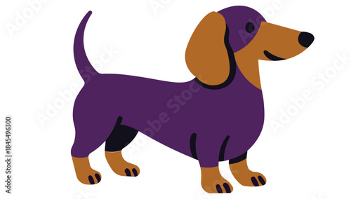 Stylized vector illustration of a dachshund in purple and brown tones on a white background