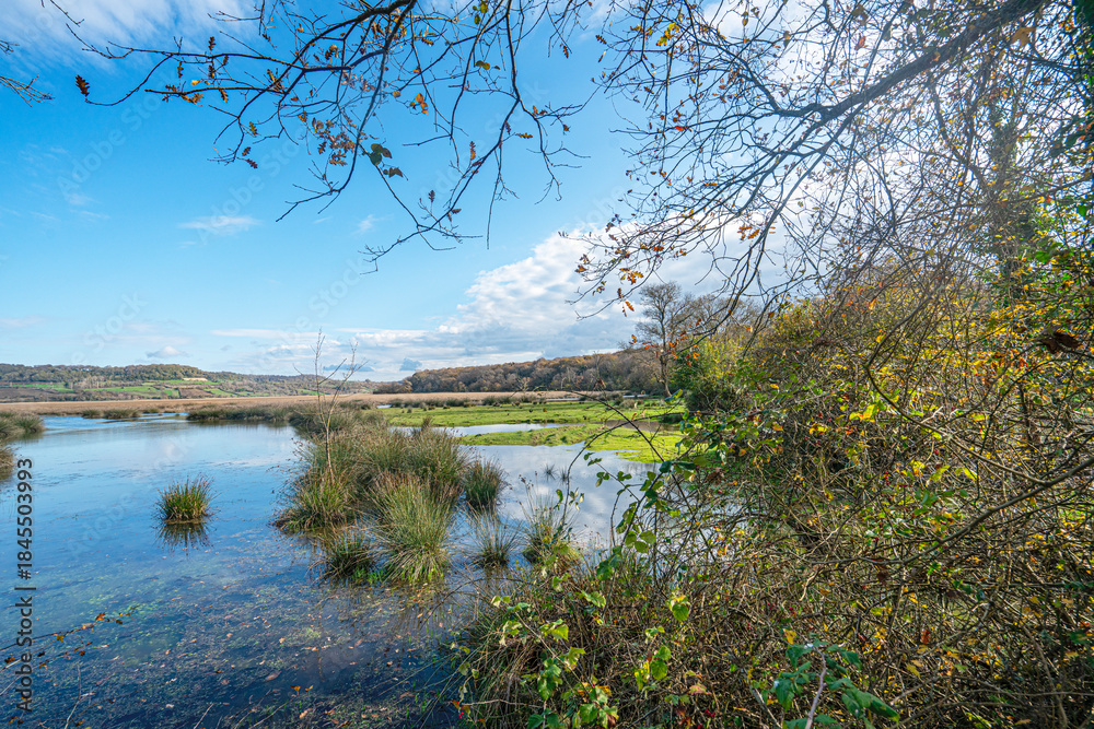 Fototapeta premium The scenic views of Sarıkum National Park, situated in a combination of sea, sand, lake and forest with species of water birds and birds of prey, and roe deer, lynx, bustard and swan in Sinop, Turkey.