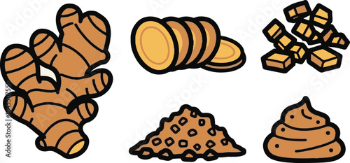 Collection of stylized ginger root illustrations showing whole sliced diced ground and pasted forms perfect for culinary design elements
