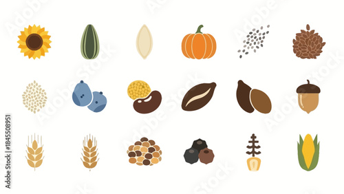 Various seeds and grains illustration isolated elements for food and health
