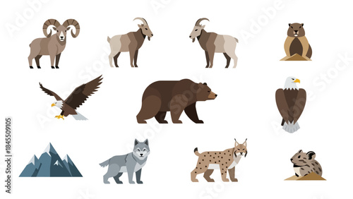 Wildlife animals illustration set bear eagle wolf mountain goat and more