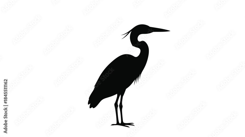 Fototapeta premium A striking black heron standing gracefully in a minimalist silhouette