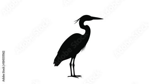 A striking black heron standing gracefully in a minimalist silhouette