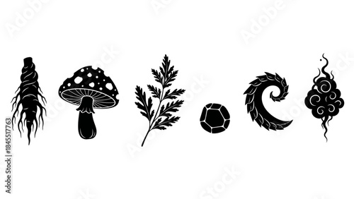 Black and white botanical vector illustration of various plants and elements