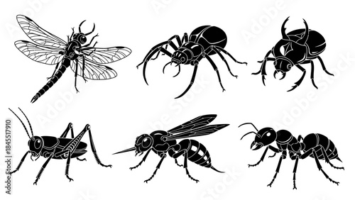 Black and white insect silhouettes dragonfly spider beetle grasshopper wasp ant