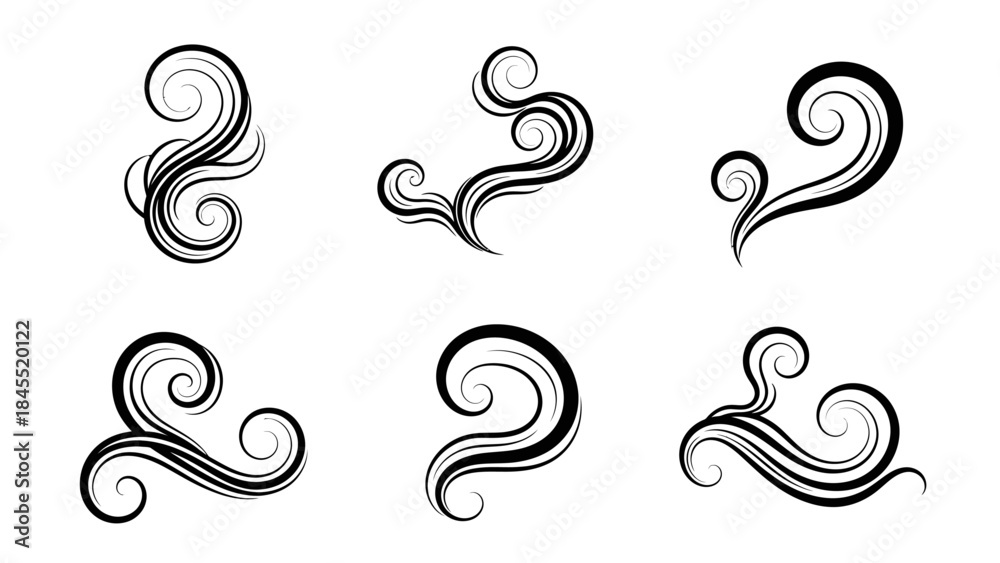 Fototapeta premium Elegant black swirl design elements for decorative creative and vector purposes