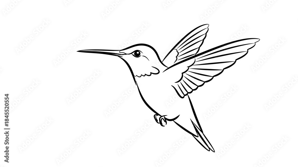 Fototapeta premium Hummingbird in flight illustration against white background for design