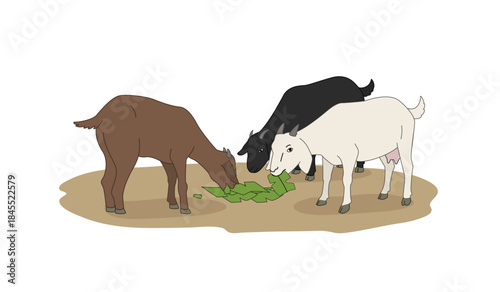 Cartoon Goats Eating Food Farm Animals Illustration.