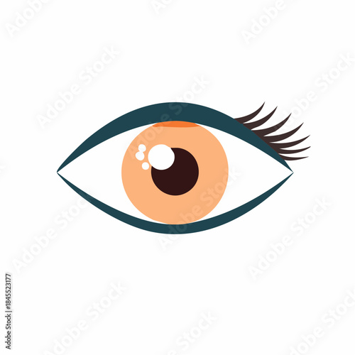 Eye graphic illustration, human eyes, eyes vector icon, close up view of the eyes