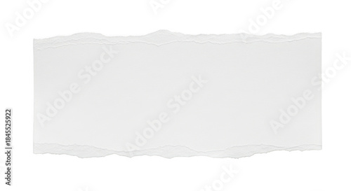 Wallpaper Mural Torn white paper edge isolated on transparent background Torontodigital.ca