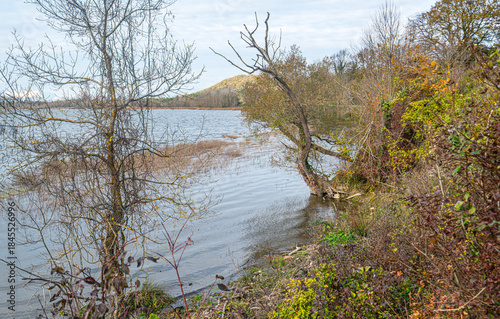 The scenic views of Sarıkum National Park, situated in a combination of sea, sand, lake and forest with species of water birds and birds of prey, and roe deer, lynx, bustard and swan in Sinop, Turkey.