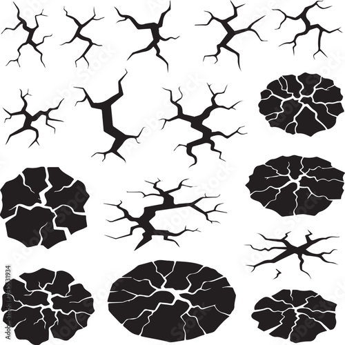 Cracked surface and tree branch silhouettes on white