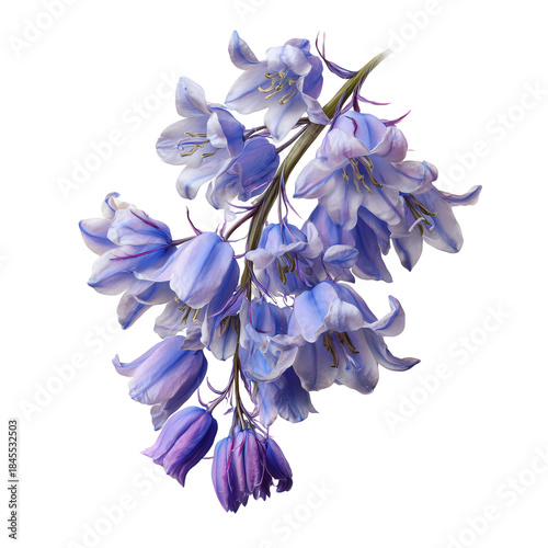 Purple Flowers Hang From a Branch Under Bright Light in a Simple Setting