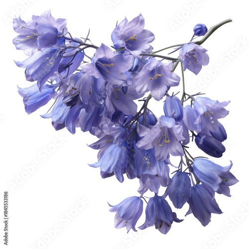 Purple Flowers With Bell-Shaped Blooms Hanging From a Green Stem in Natural L...