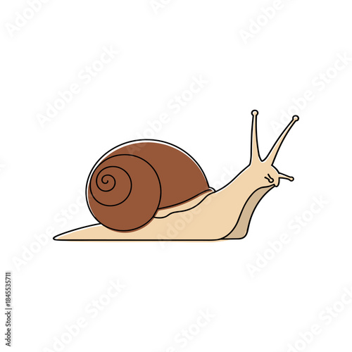 Small garden snail with a brown shell crawling slowly.
