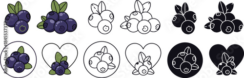 Colorful and black and white blueberry in circles and hearts blueberries green