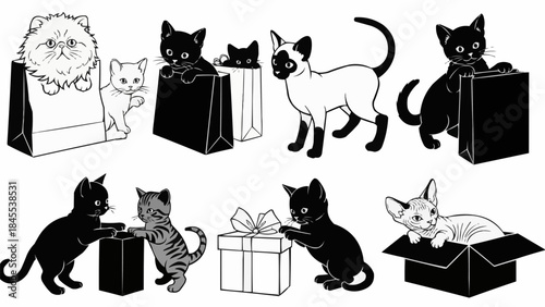 Collection of Adorable Kittens and Cats in Various Playful Poses and Situations.