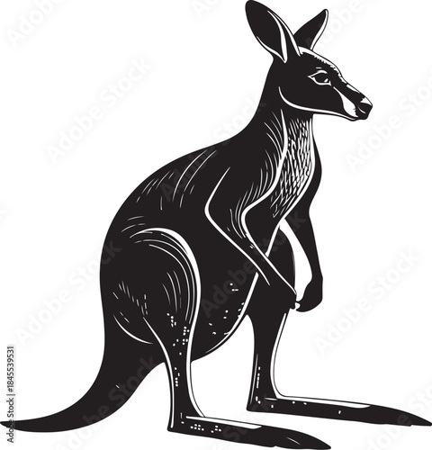 Kangaroo Wallaby Hand-drawn Sketch Drawing Vector Illustration, Line Linear Symbol Engraving Coloring Book, Black and White Isolated