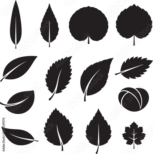 Collection of various black leaf silhouettes on white