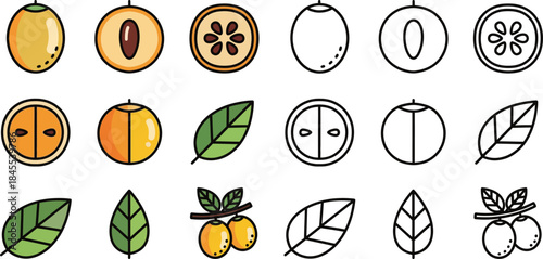 Colorful and monochrome of fruits and leaves in a grid pattern leaf kiwi orange tangerine