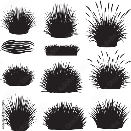 Black silhouettes of various grass and foliage elements