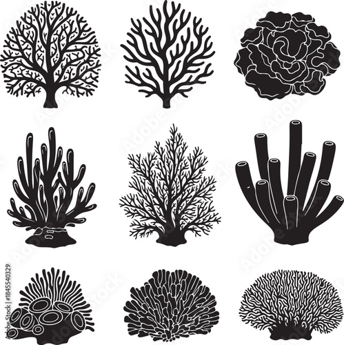 Coral reef illustrations in black and white