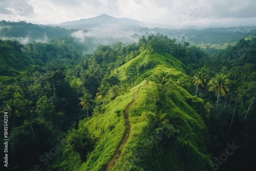A winding path leads through a lush green jungle with a misty mountain background.