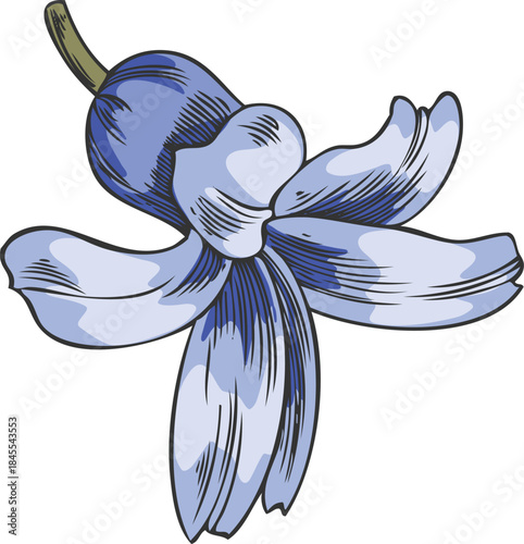 Hyacinth flower sketch, vector hand drawn spring blue bell-shaped bud blossom plant, blooming herb, botanical design