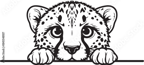 Tiger and Bear Vector Illustration Wild Animal Design