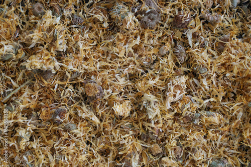 A Detailed Close-Up of Dried Calendula Flowers Spread Across a Surface, Showcasing Their Unique Texture and Color Variations