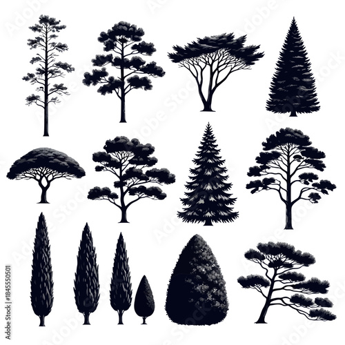 Black silhouettes of various trees and plants on