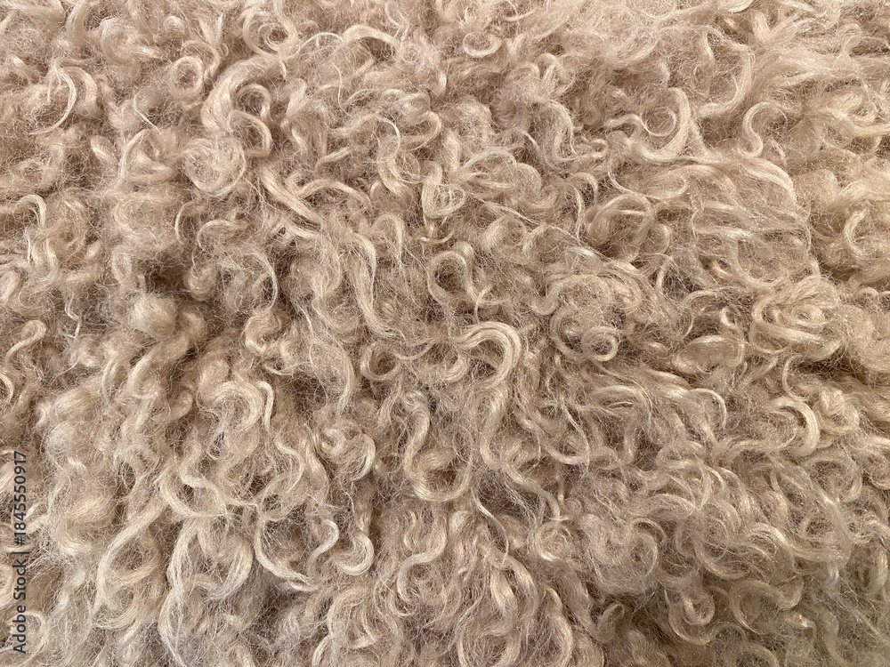 Fototapeta premium Soft beige curly wool texture close-up with natural fiber patterns and intricate details