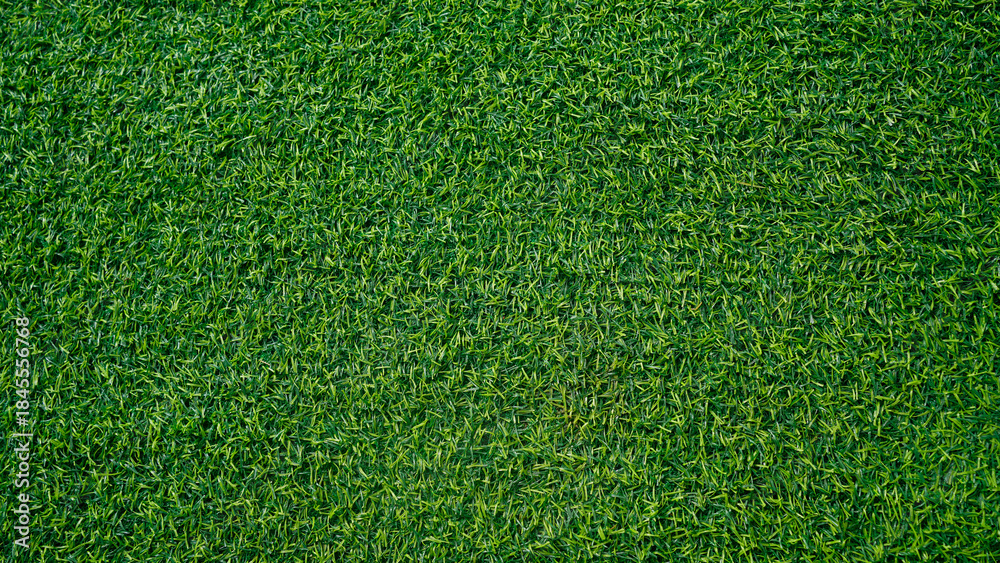 Obraz premium Green grass background, top view background of garden bright grass concept used for making green backdrop.
