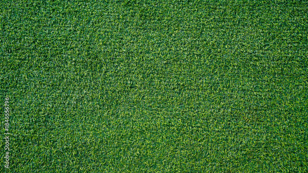 Fototapeta premium Green grass background, top view background of garden bright grass concept used for making green backdrop.