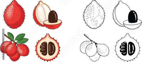 Red lychee fruits with seeds and cut open