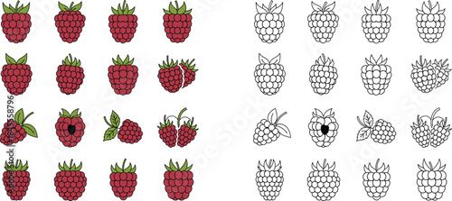 Set of red and white raspberries with green leaves in a grid pattern red raspberries