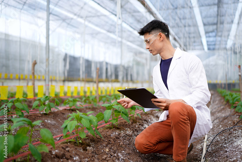 Scientist are analyzing organic vegetables plants in greenhouse , concept of agricultural technology