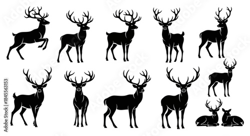 Collection of black stag silhouettes in various poses on a white background