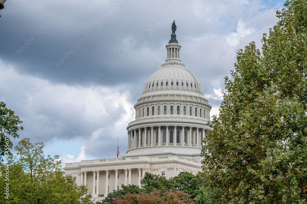 Fototapeta premium U.S. Capitol Dome Framed by Trees Under Cloudy Sky