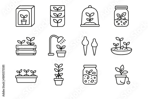 Dome compost starter dish windowsill gardening icon sprouting vector garden micro fabric