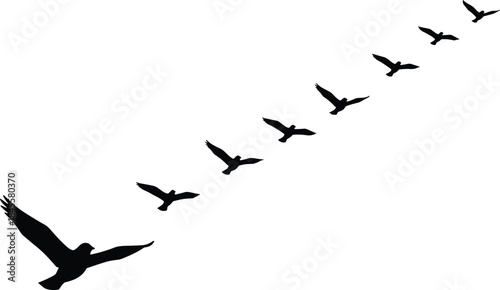 Silhouettes of a flock of birds flying in an angled V-formation, representing concepts of leadership, teamwork, migration, cooperation, and successful journey towards a shared destination or goal.