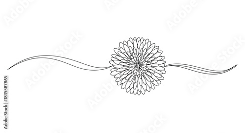A single continuous line drawing of a detailed chrysanthemum flower, serving as an elegant and minimalist decorative page divider element.
