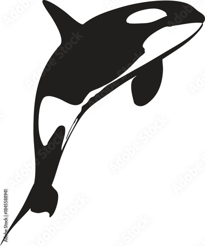 Whale shark Tattoo Humpback whale Blue whale, shark, marine Mammal, mammal png